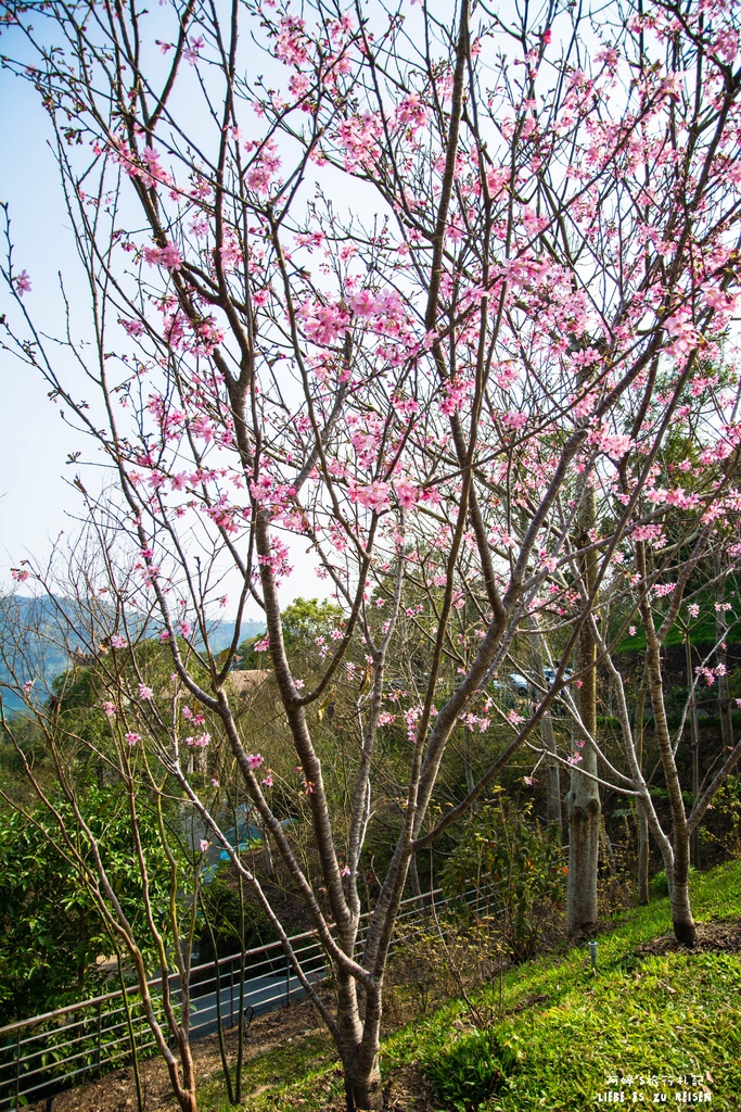 DSC_8752.jpg DSC_8752.jpg