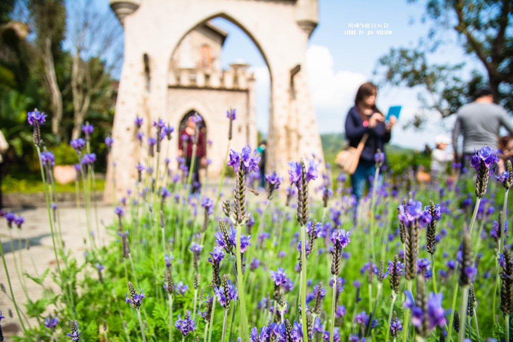 DSC_8704.jpg DSC_8704.jpg