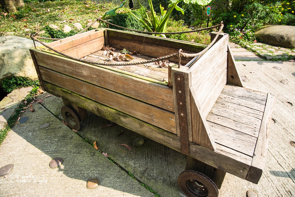 DSC_8718.jpg DSC_8718.jpg