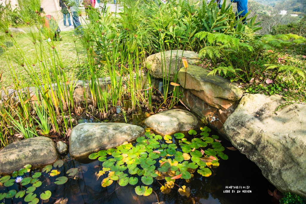 DSC_8717.jpg DSC_8717.jpg