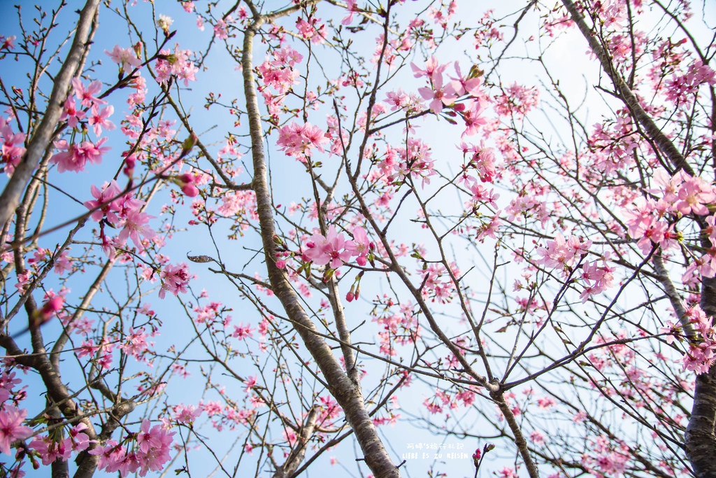 DSC_8754.jpg DSC_8754.jpg