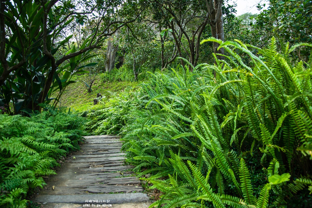 DSC_8725.jpg DSC_8725.jpg