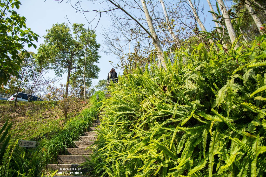 DSC_8661.jpg DSC_8661.jpg