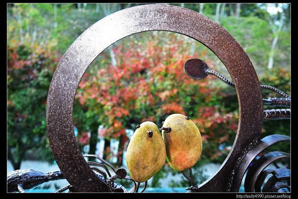 20151214苗栗大湖天空之城18