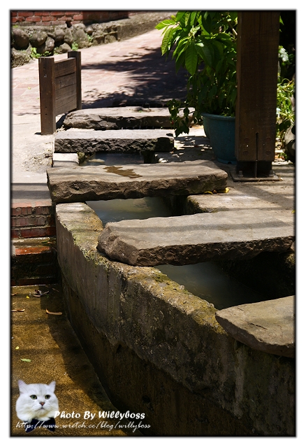 五月某日南庄新竹亂遊遊記(上)