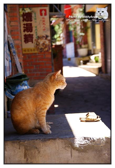 五月某日南庄新竹亂遊遊記(上)