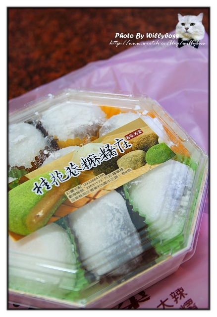 五月某日南庄新竹亂遊遊記(上)