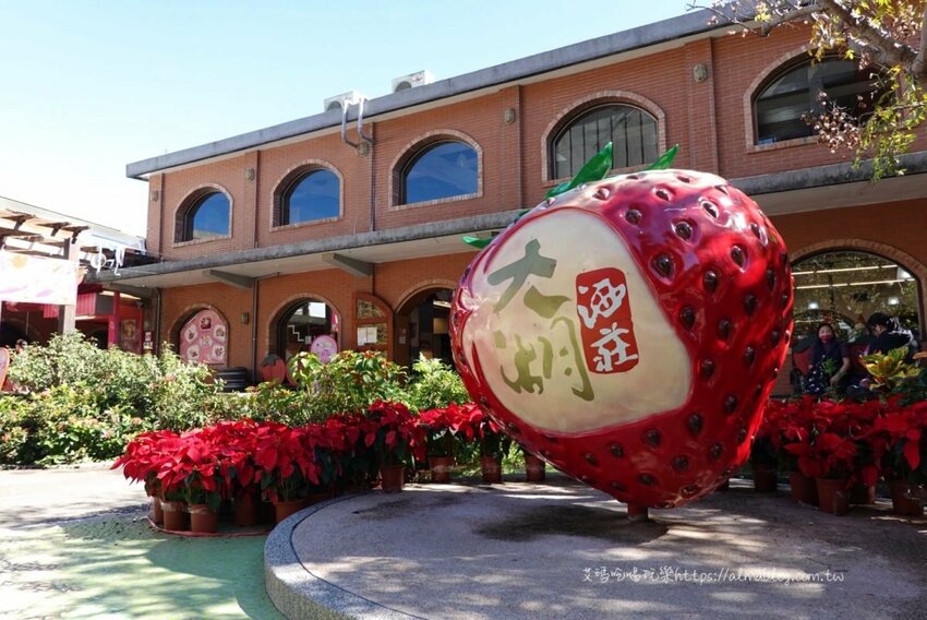 免費景點！冬天就是要來草莓世界．草莓香腸四支100元．體驗採紅寶石草莓 - 艾瑪▪ 享受吃喝玩樂札記