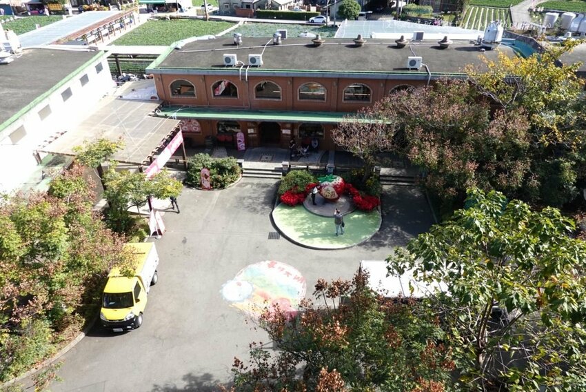 免費景點！冬天就是要來草莓世界．草莓香腸四支100元．體驗採紅寶石草莓 - 艾瑪▪ 享受吃喝玩樂札記