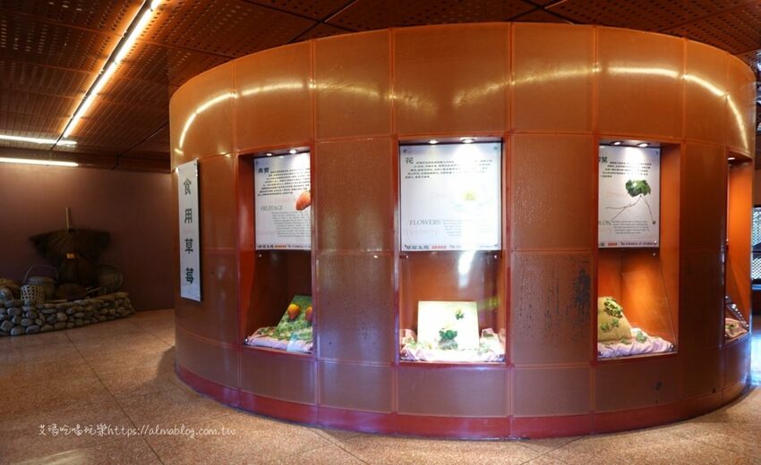 免費景點！冬天就是要來草莓世界．草莓香腸四支100元．體驗採紅寶石草莓 - 艾瑪▪ 享受吃喝玩樂札記