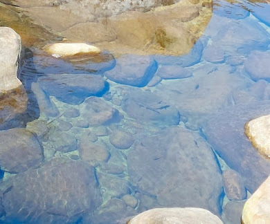 苗栗一日遊-蓬萊溪護魚步道-悠閒、好走頗有趣~沿路都有好心情