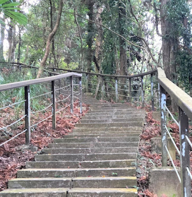 苗栗一日遊-蓬萊溪護魚步道-悠閒、好走頗有趣~沿路都有好心情