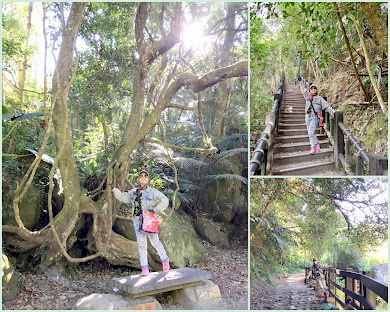 苗栗一日遊-蓬萊溪護魚步道-悠閒、好走頗有趣~沿路都有好心情