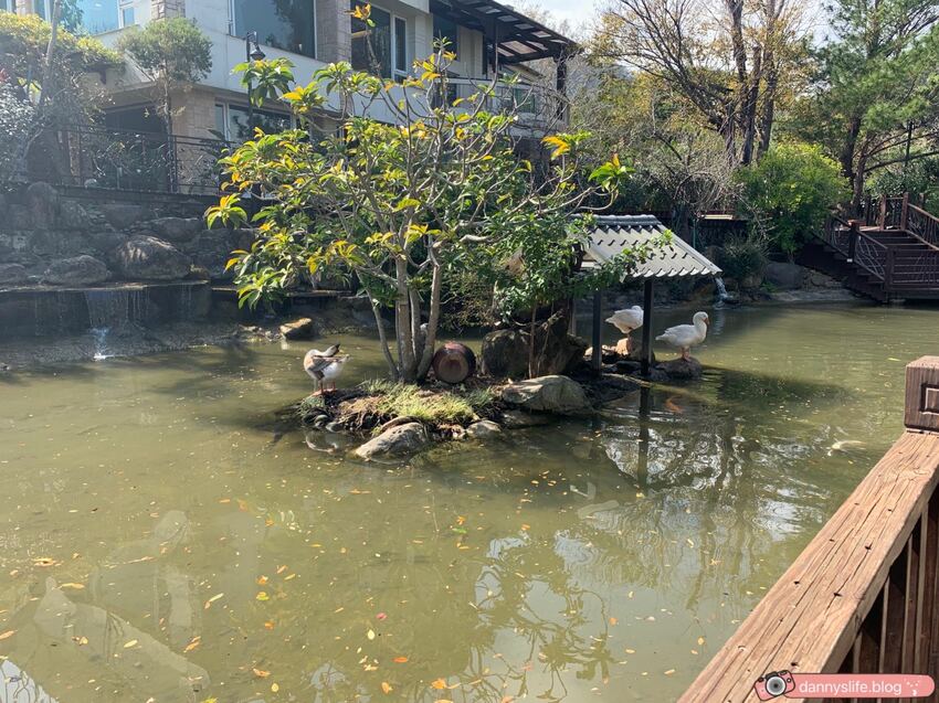 巧克力雲莊 │苗栗景點·寵物友善·認識巧克力的奇幻旅程 - 丹尼的吃喝玩樂