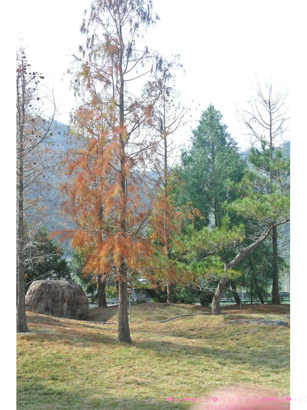 巧克力雲莊:【食、遊記】oO。。苗栗 巧克力雲莊 想了一世紀才又吃到的移山倒海草冰,簡直是把整座的草莓園搬來眼前,快來看看有多澎湃~o○。 巧克力雲莊:【食、遊記】oO。。苗栗 巧克力雲莊 想了一世紀才又吃到的移山倒海草冰,簡直是把整座的草莓園搬來眼前,快來看看有多澎湃~o○。
