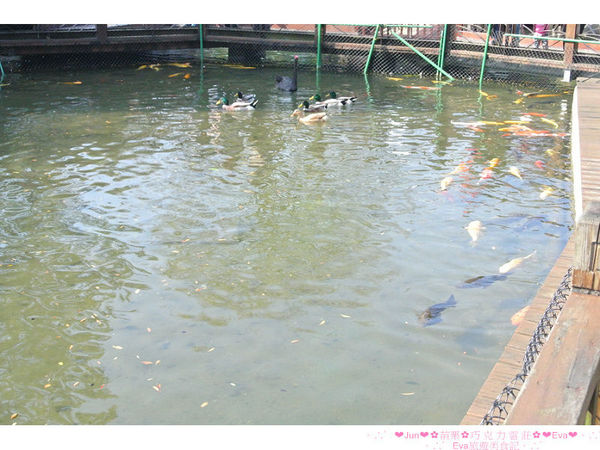 巧克力雲莊:【食、遊記】oO。。苗栗 巧克力雲莊 想了一世紀才又吃到的移山倒海草冰,簡直是把整座的草莓園搬來眼前,快來看看有多澎湃~o○。 巧克力雲莊:【食、遊記】oO。。苗栗 巧克力雲莊 想了一世紀才又吃到的移山倒海草冰,簡直是把整座的草莓園搬來眼前,快來看看有多澎湃~o○。