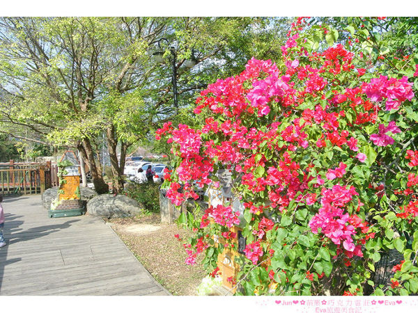 巧克力雲莊:【食、遊記】oO。。苗栗 巧克力雲莊 想了一世紀才又吃到的移山倒海草冰,簡直是把整座的草莓園搬來眼前,快來看看有多澎湃~o○。 巧克力雲莊:【食、遊記】oO。。苗栗 巧克力雲莊 想了一世紀才又吃到的移山倒海草冰,簡直是把整座的草莓園搬來眼前,快來看看有多澎湃~o○。