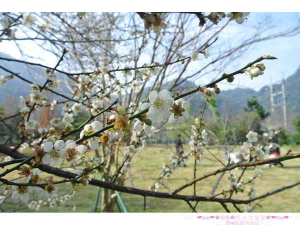 巧克力雲莊:【食、遊記】oO。。苗栗 巧克力雲莊 想了一世紀才又吃到的移山倒海草冰,簡直是把整座的草莓園搬來眼前,快來看看有多澎湃~o○。 巧克力雲莊:【食、遊記】oO。。苗栗 巧克力雲莊 想了一世紀才又吃到的移山倒海草冰,簡直是把整座的草莓園搬來眼前,快來看看有多澎湃~o○。