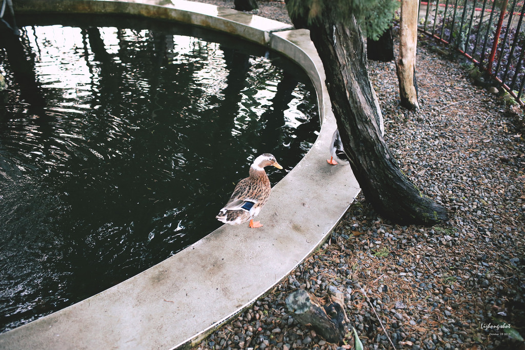 苗栗三義小旅行紀實