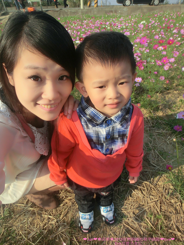 2013苗栗銅鑼杭菊季:【遊記】oO。苗栗 2013苗栗銅鑼杭菊芋頭節 平地的11月雪,趕快趁採收前來欣賞這美麗的景象吧~。o○。 2013苗栗銅鑼杭菊季:【遊記】oO。苗栗 2013苗栗銅鑼杭菊芋頭節 平地的11月雪,趕快趁採收前來欣賞這美麗的景象吧~。o○。