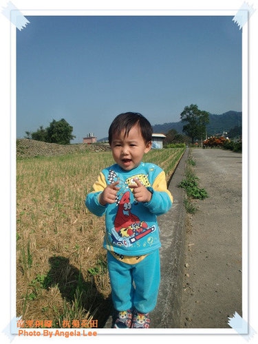 苗栗.銅鑼♡賞杭菊花雪♡