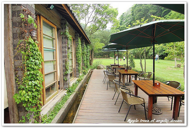 【苗栗三義】山那邊綠葉方舟景觀餐廳．森林城堡幸福小舖