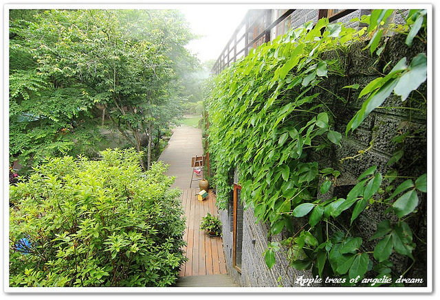 【苗栗三義】山那邊綠葉方舟景觀餐廳．森林城堡幸福小舖