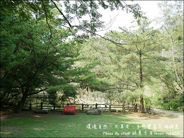 綠葉方舟-12.jpg