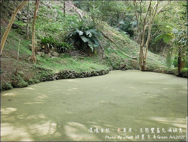 綠葉方舟-29.jpg