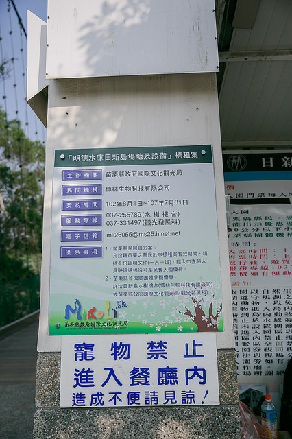 【苗栗景點】全台唯一湖中島嶼 親子寵物景點 日新島-水榭樓台 全台唯一湖中島嶼咖啡廳