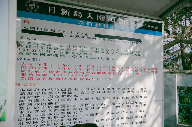 【苗栗景點】全台唯一湖中島嶼 親子寵物景點 日新島-水榭樓台 全台唯一湖中島嶼咖啡廳