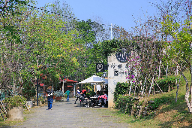 【苗栗景點】全台唯一湖中島嶼 親子寵物景點 日新島-水榭樓台 全台唯一湖中島嶼咖啡廳