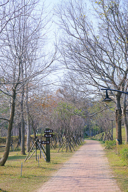 【苗栗景點】全台唯一湖中島嶼 親子寵物景點 日新島-水榭樓台 全台唯一湖中島嶼咖啡廳