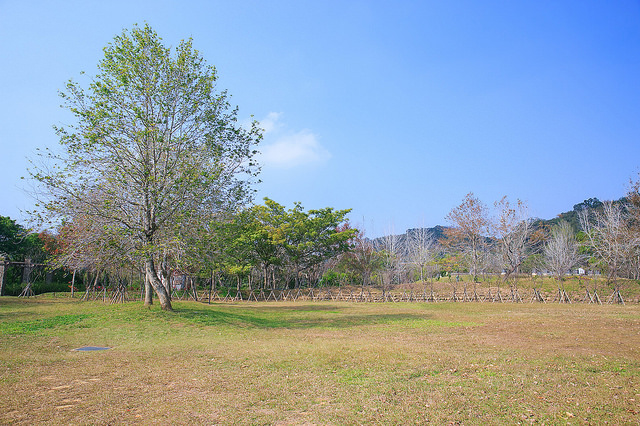【苗栗景點】全台唯一湖中島嶼 親子寵物景點 日新島-水榭樓台 全台唯一湖中島嶼咖啡廳