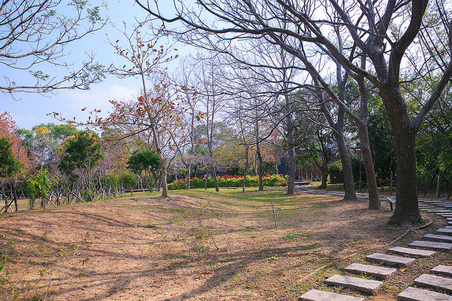 【苗栗景點】全台唯一湖中島嶼 親子寵物景點 日新島-水榭樓台 全台唯一湖中島嶼咖啡廳