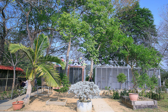 【苗栗景點】全台唯一湖中島嶼 親子寵物景點 日新島-水榭樓台 全台唯一湖中島嶼咖啡廳