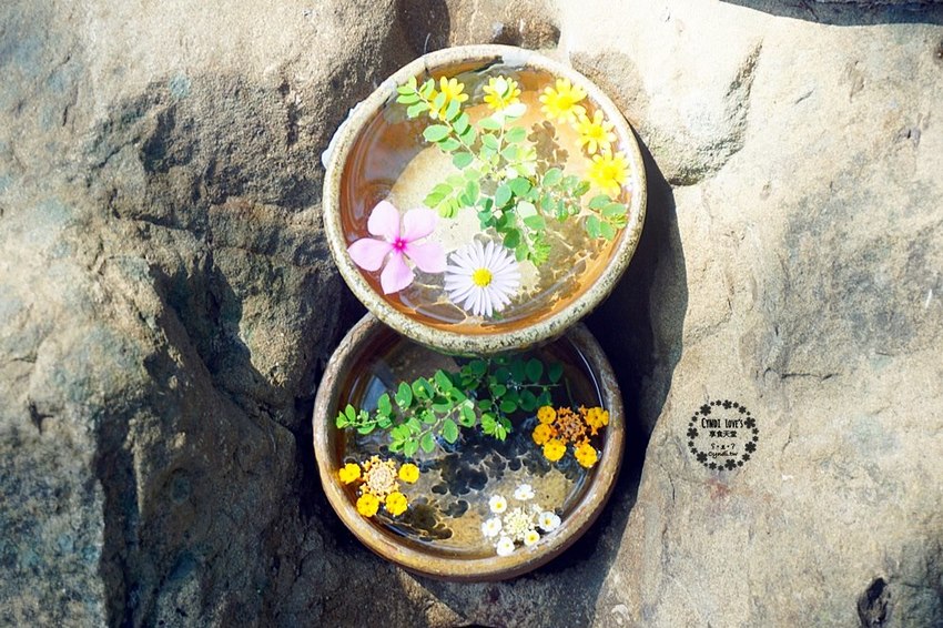 華陶窯,苗栗苑裡景點一日遊,割稻飯客家美食自助式吃到飽/捏陶DIY/生態植物園 - Cyndi loves享食天堂