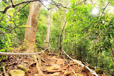 苗栗景點-火焰山登山步道-大自然的畫布，美不盛收