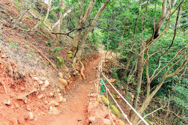 苗栗景點-火焰山登山步道-大自然的畫布，美不盛收