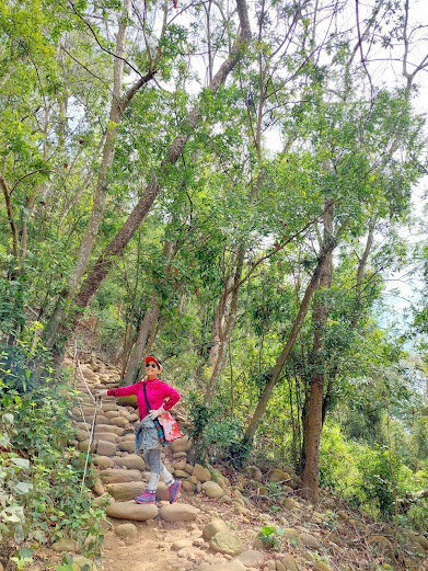 苗栗景點-火焰山登山步道-大自然的畫布，美不盛收