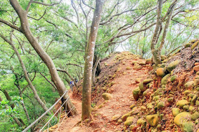 苗栗景點-火焰山登山步道-大自然的畫布，美不盛收