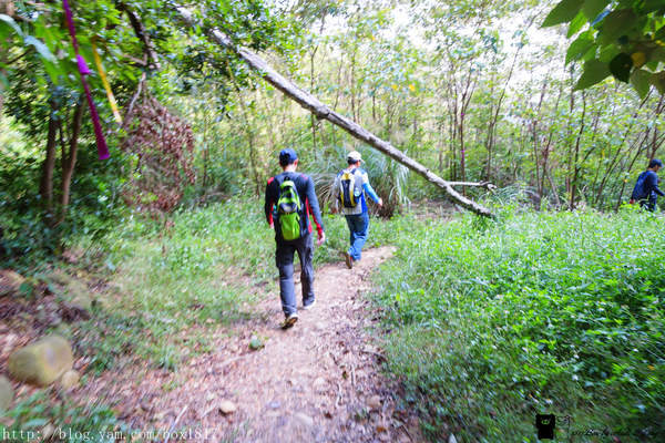【苗栗。三義】熊熊烈火正在燃燒。惡地火炎山。亂石谷。自然保留區。火炎山步道