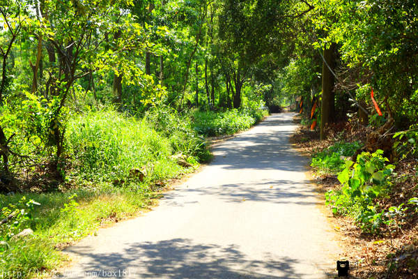 【苗栗。三義】熊熊烈火正在燃燒。惡地火炎山。亂石谷。自然保留區。火炎山步道