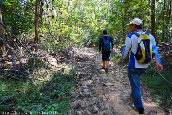 【苗栗。三義】熊熊烈火正在燃燒。惡地火炎山。亂石谷。自然保留區。火炎山步道