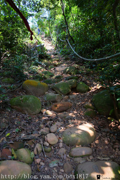 【苗栗。三義】熊熊烈火正在燃燒。惡地火炎山。亂石谷。自然保留區。火炎山步道