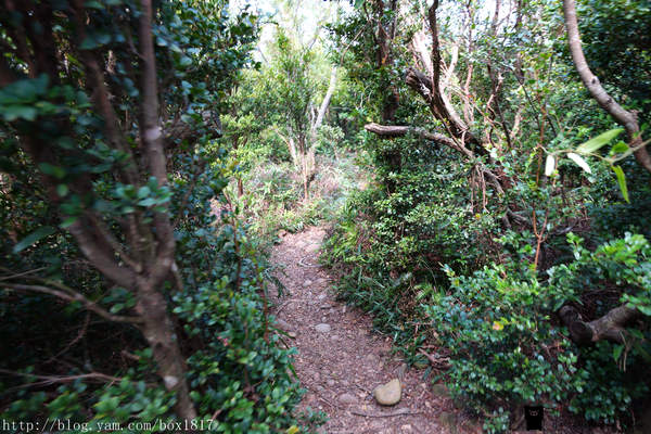 【苗栗。三義】熊熊烈火正在燃燒。惡地火炎山。亂石谷。自然保留區。火炎山步道