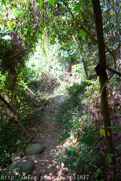 【苗栗。三義】熊熊烈火正在燃燒。惡地火炎山。亂石谷。自然保留區。火炎山步道