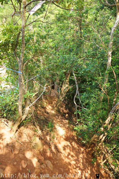 【苗栗。三義】熊熊烈火正在燃燒。惡地火炎山。亂石谷。自然保留區。火炎山步道