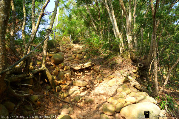 【苗栗。三義】熊熊烈火正在燃燒。惡地火炎山。亂石谷。自然保留區。火炎山步道