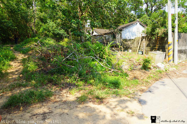 【苗栗。三義】熊熊烈火正在燃燒。惡地火炎山。亂石谷。自然保留區。火炎山步道